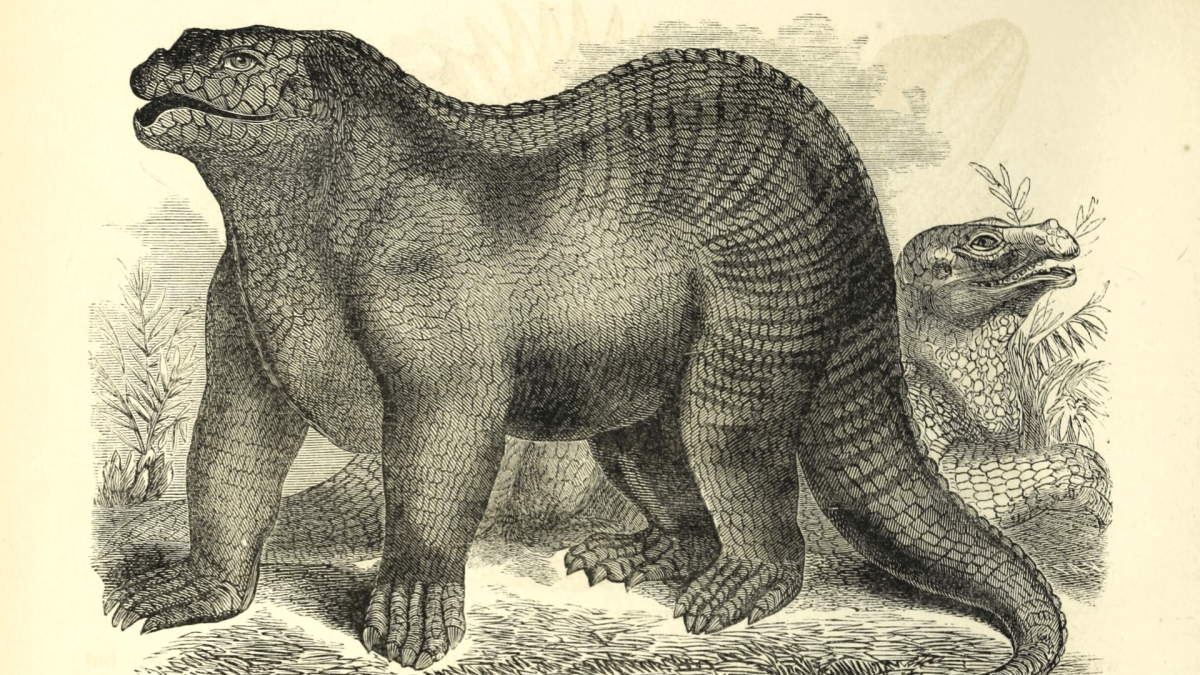 Latour: «Lo indiscutible proviene de lo&nbsp;discutido»