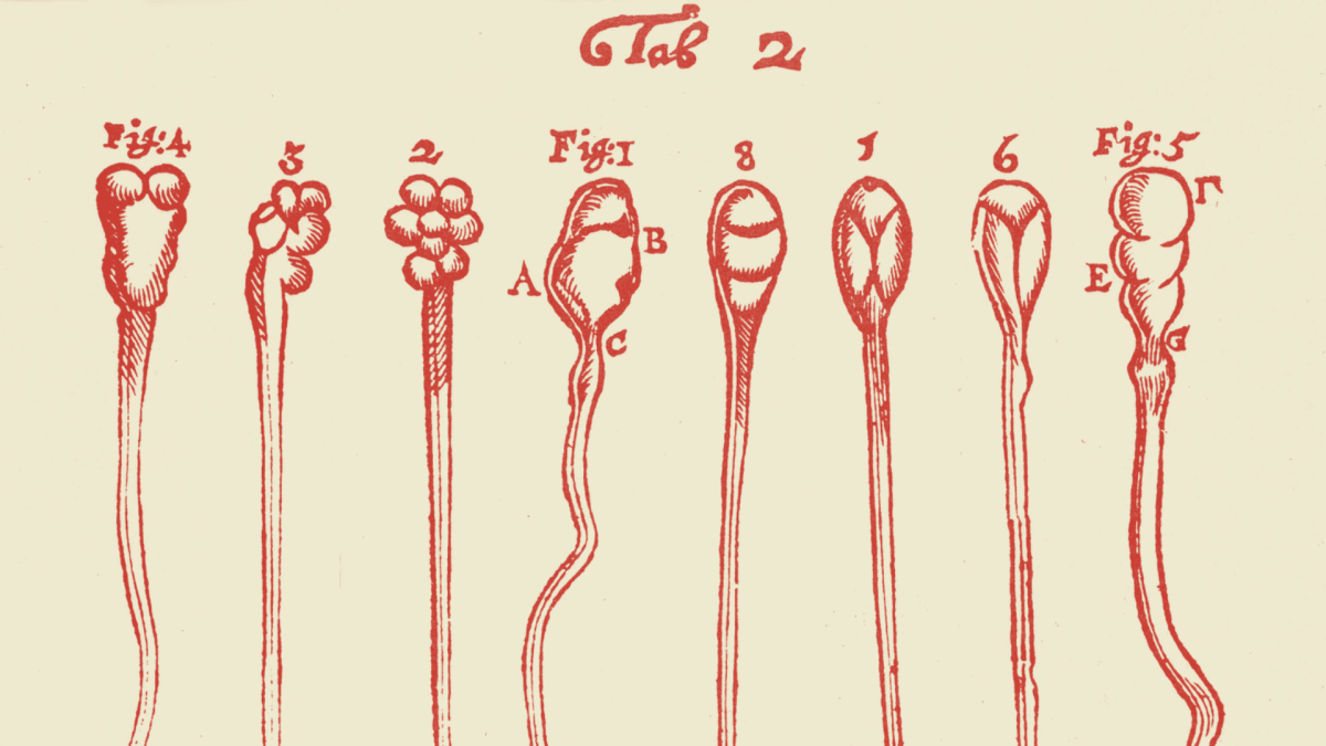 Gametas y filosofía